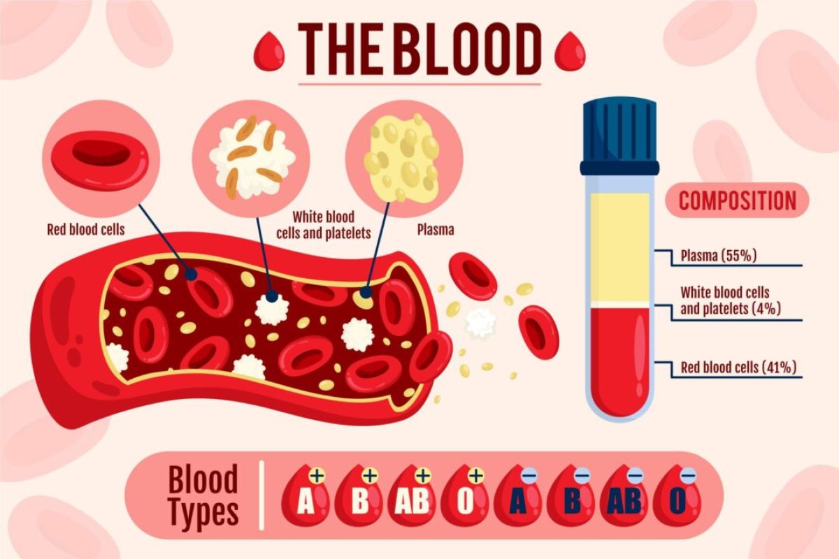 Blood Function