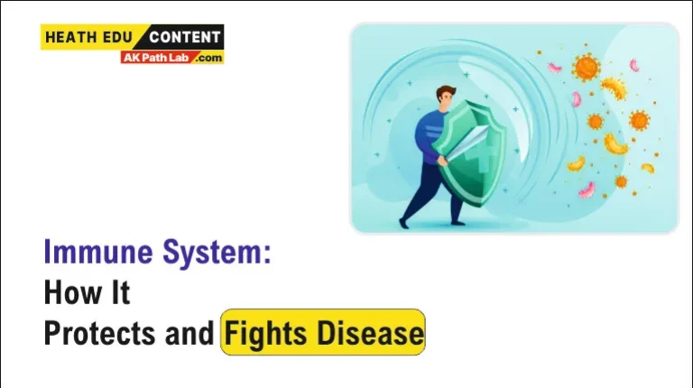 Immune System How it protect and fights Diseases