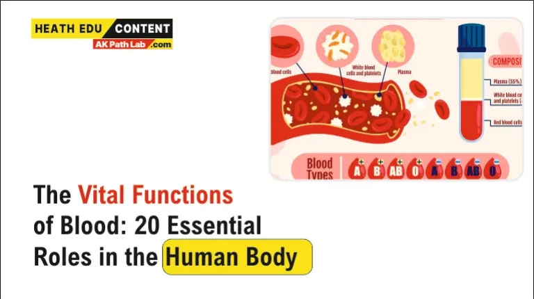 Vital Functions of Blood